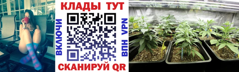 Все наркотики Спасск-Дальний Кокаин  ГАШИШ  APVP  МЕТАМФЕТАМИН  Каннабис  АМФЕТАМИН 